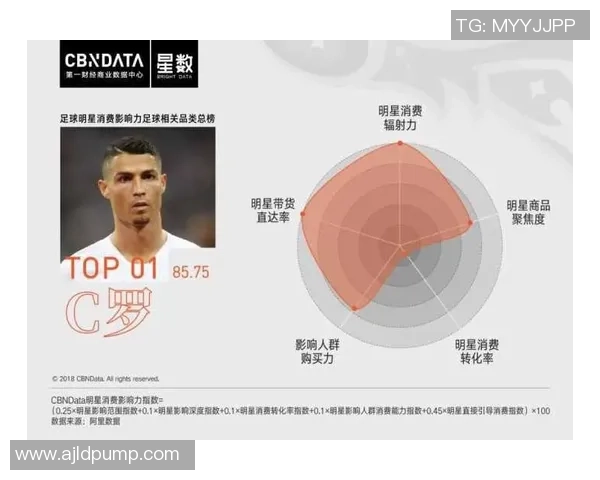 全球足球明星简介及其成就与影响力分析