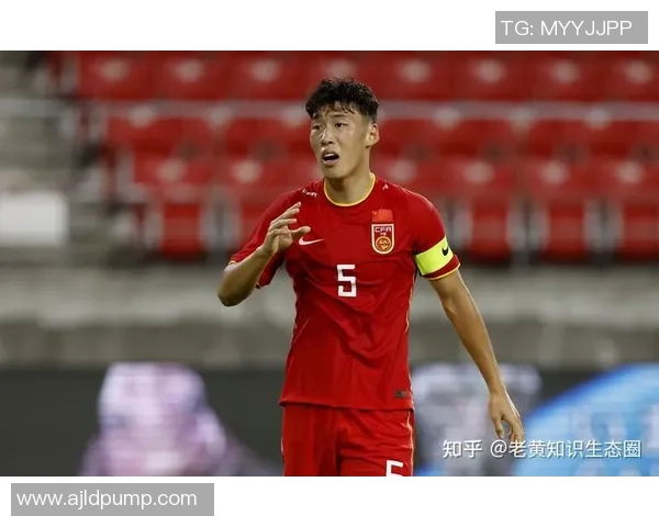 中国足球明星身价排行榜揭晓谁是当之无愧的顶级球员