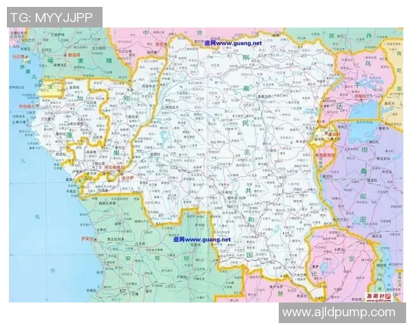 加蓬足球明星排行榜揭晓谁是非洲绿茵场上的闪耀之星 加蓬足球明星排行榜揭晓谁是非洲绿茵场上的闪耀之星