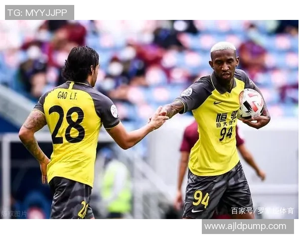 成都排球队心理素质引发热议球迷与专家观点大碰撞